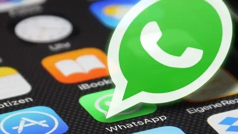 WhatsApp Privacy Update 2024